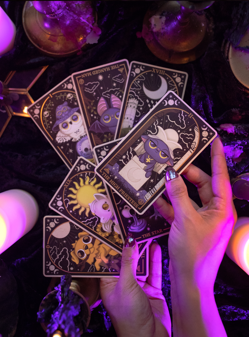 Wild Magic Tarot Volume 1 Blind Box Collectible Figures - Collector Life - Collector Life